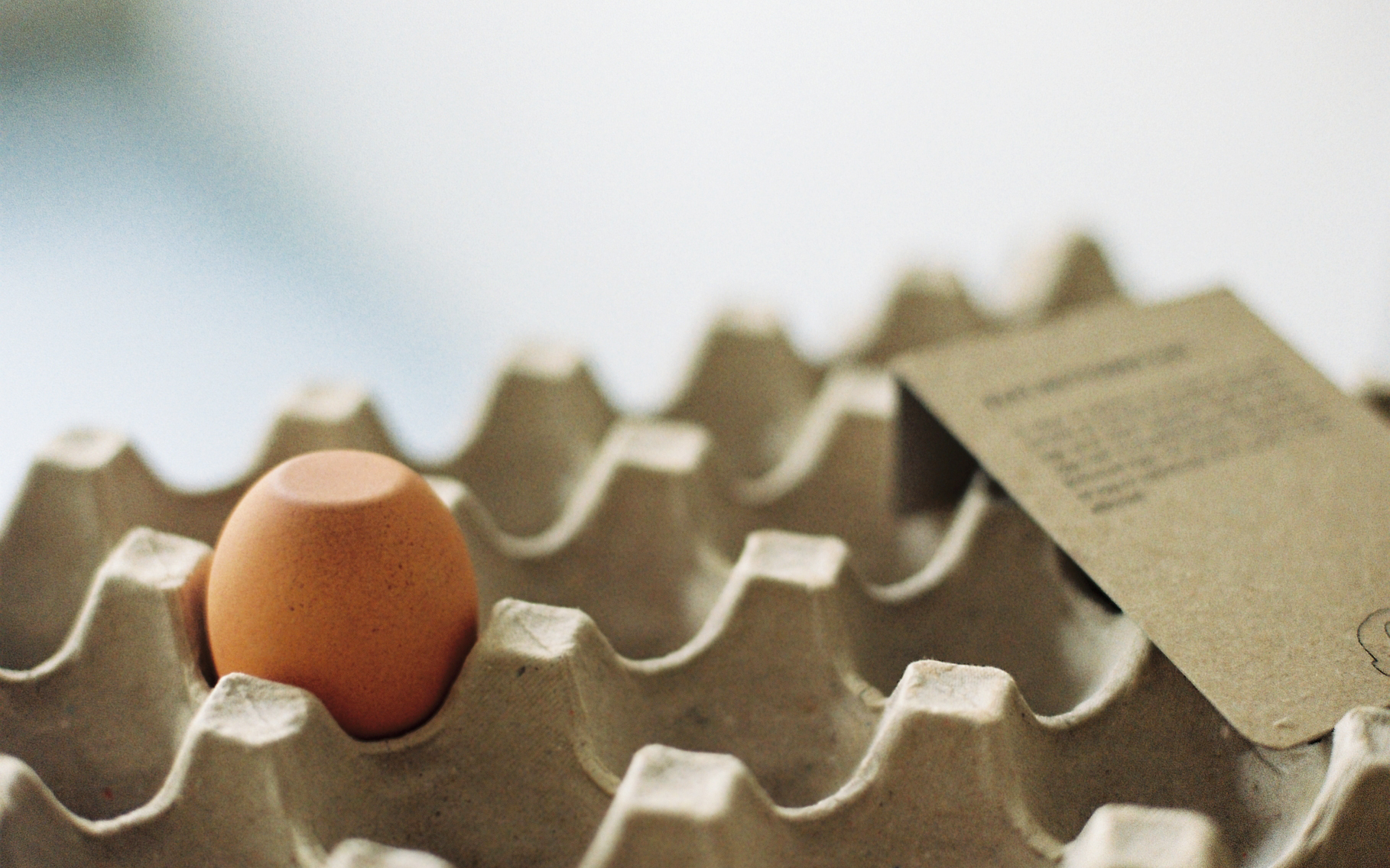 12 dozen eggs book